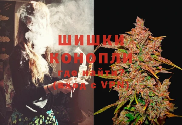 индика Покров