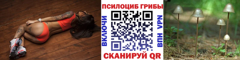 Галлюциногенные грибы мухоморы  Рыльск 